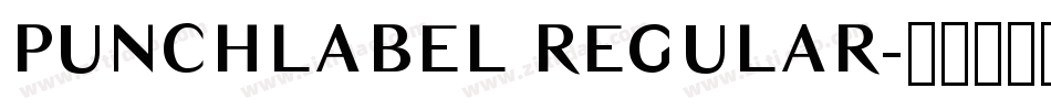 PUNCHLABEL REGULAR字体转换